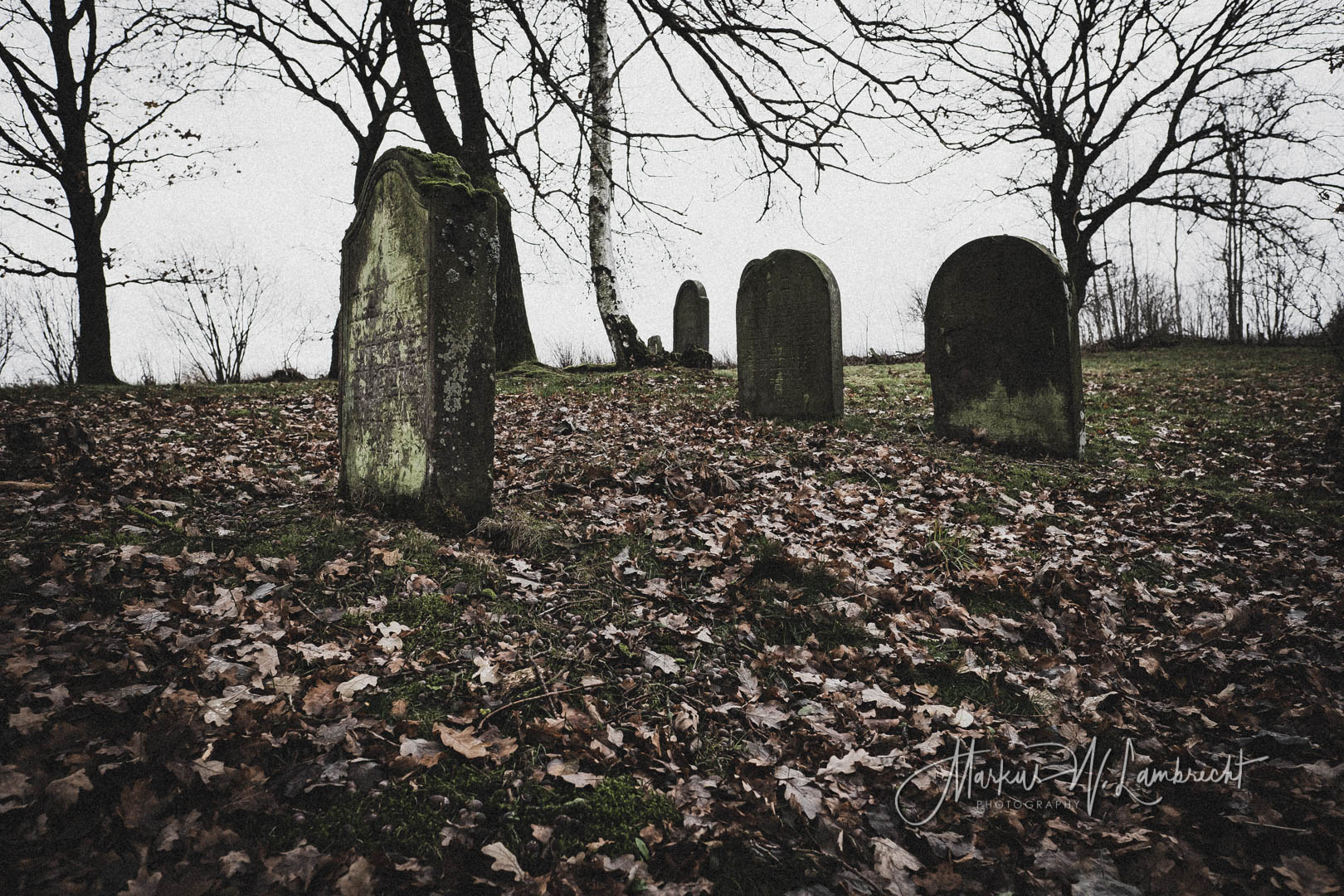 Mackensen (Dassel), Jüdischer Friedhof